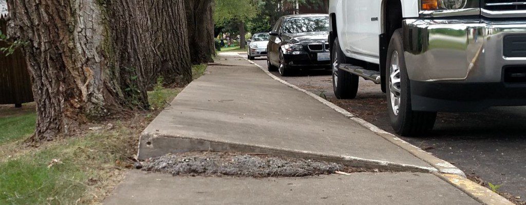 Sidewalk raised by tree roots